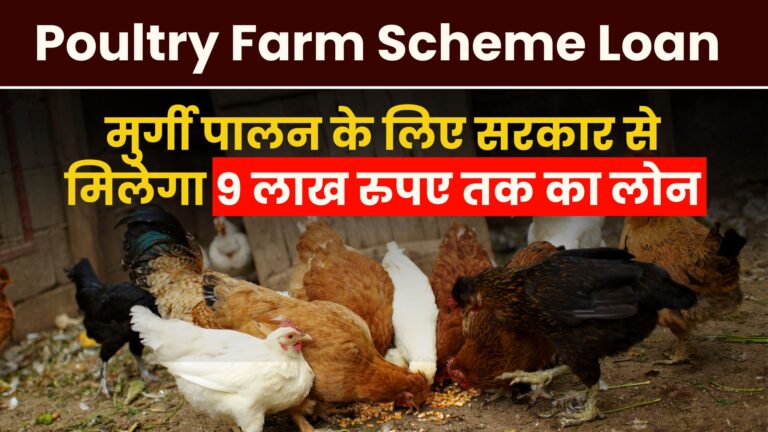 Poultry Farm Scheme Loan 2024