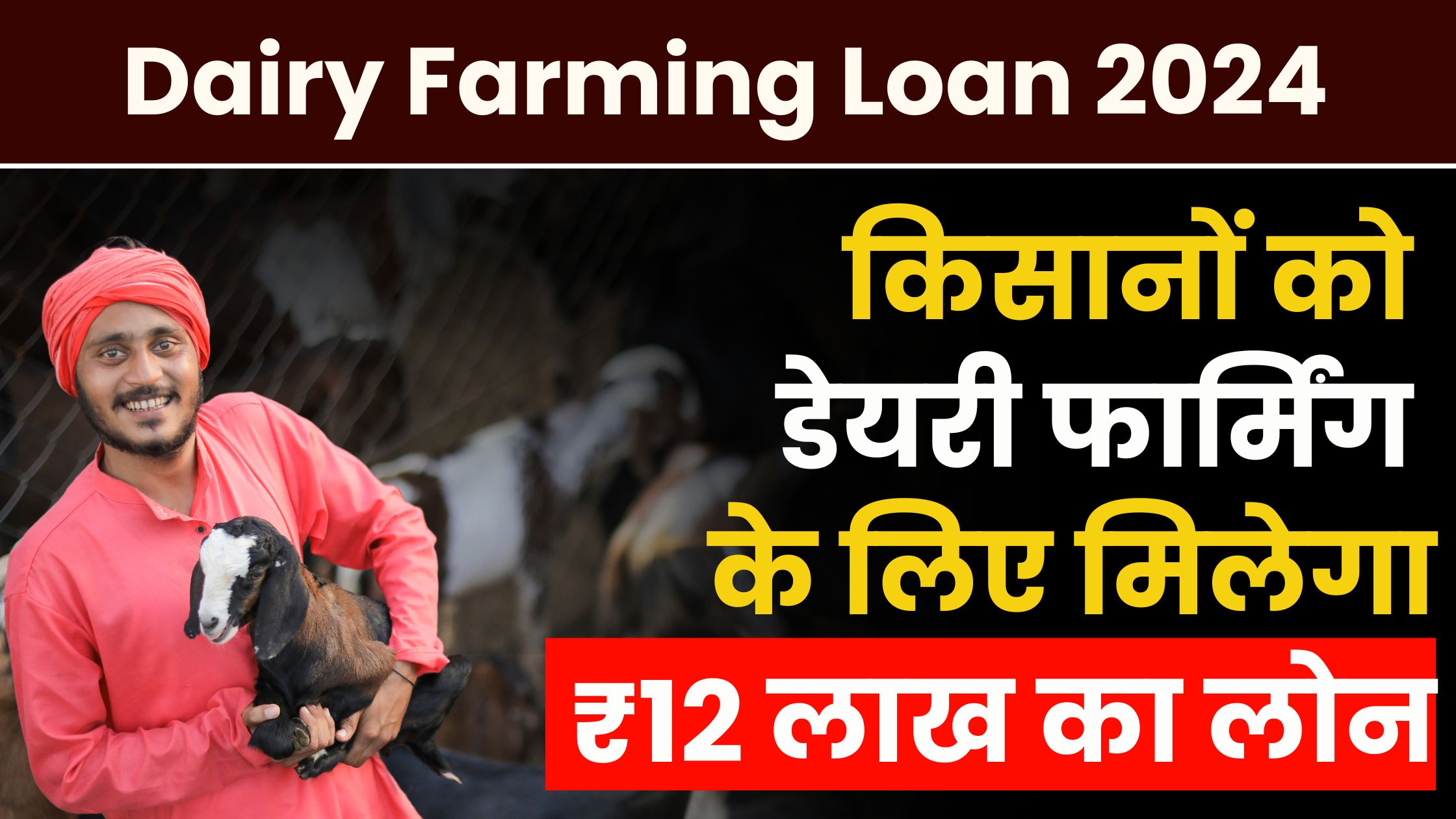 Dairy Farming Loan 2024