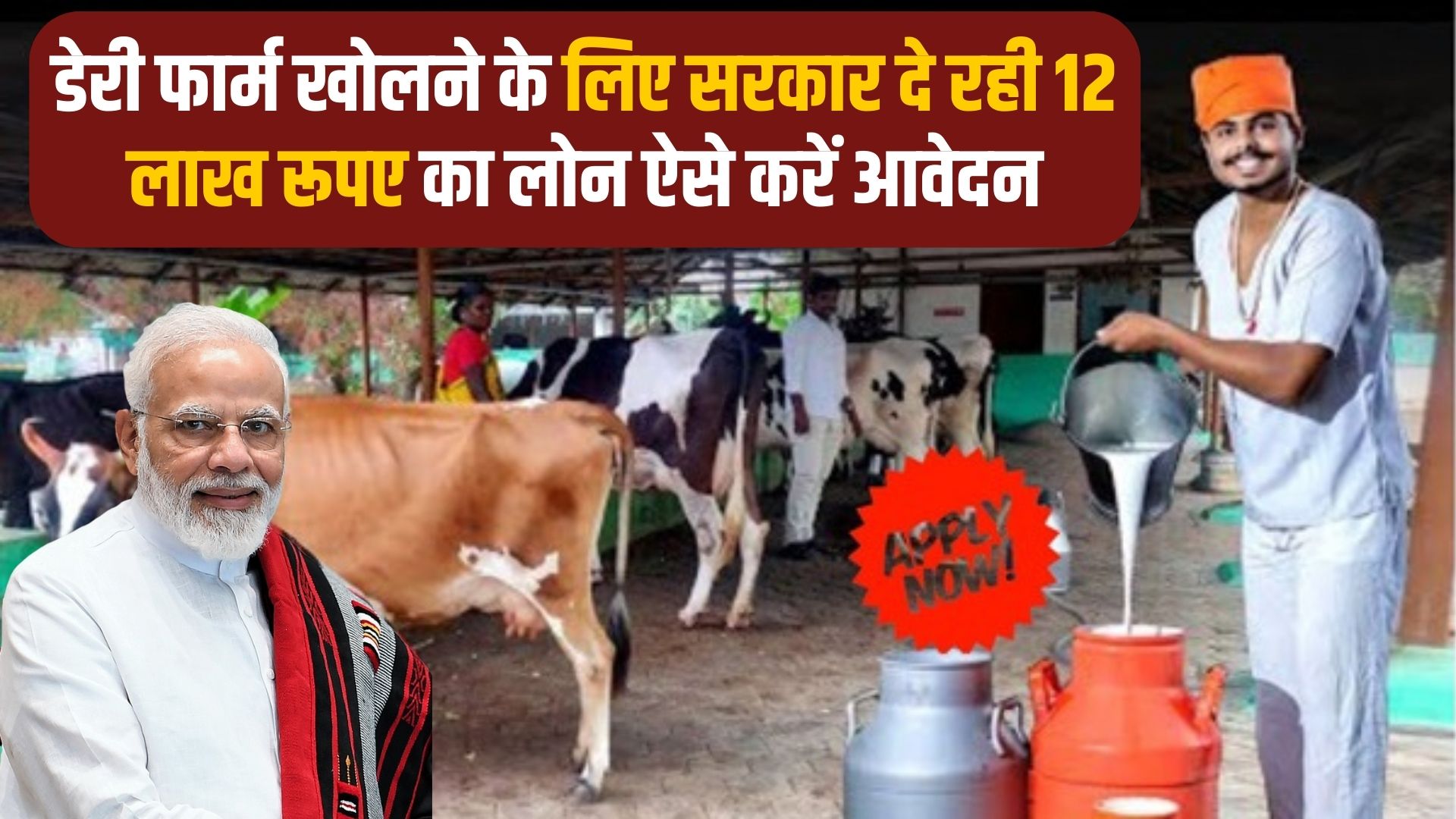 Dairy Farm Apply Scheme