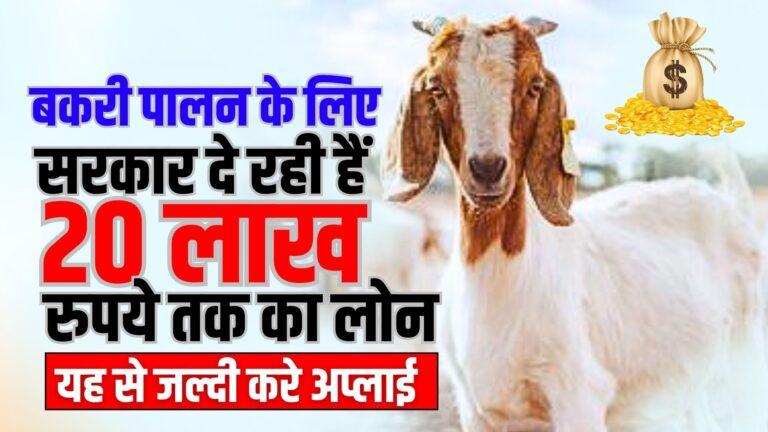 Goat Farming Scheme Apply