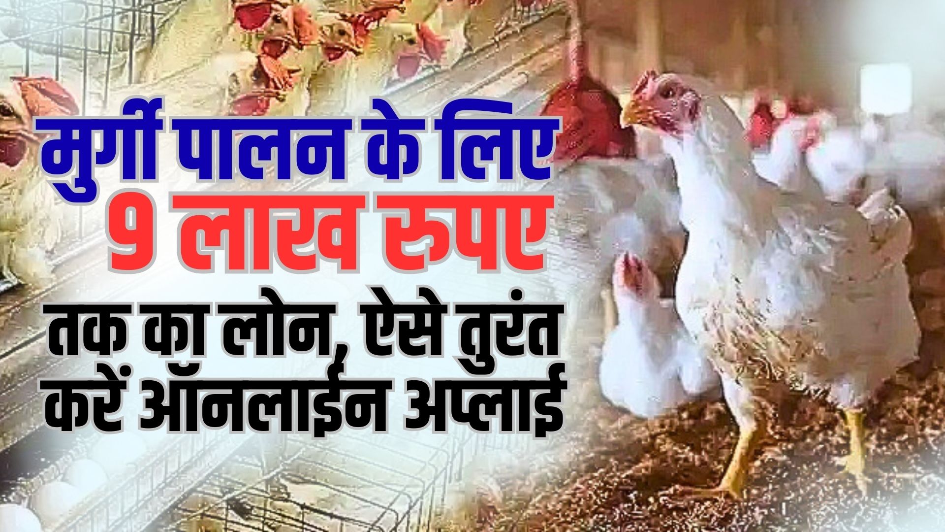 Poultry Farm Loan Yojana