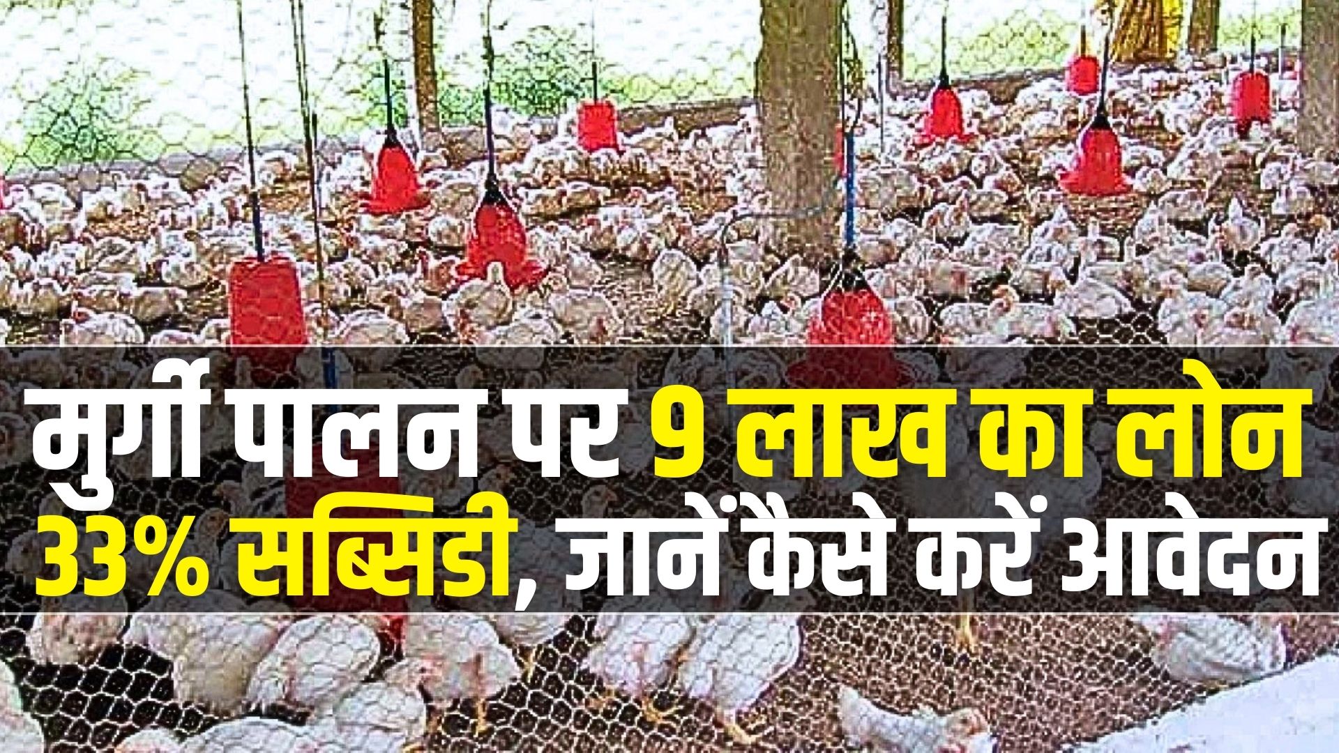 Poultry Farming Yojana