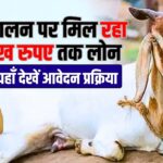 Bakri Palan Loan Yojana