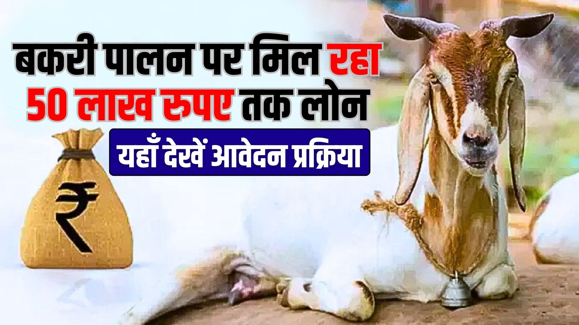 Bakri Palan Loan Yojana