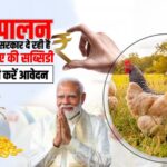 Poultry Farming Subsidy Yojana