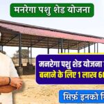 Pashu Shed Scheme 2025