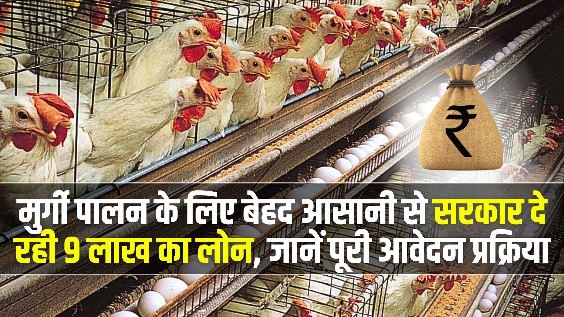 Poultry Farming Loan 2025