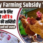 Poultry Farming Subsidy Yojana