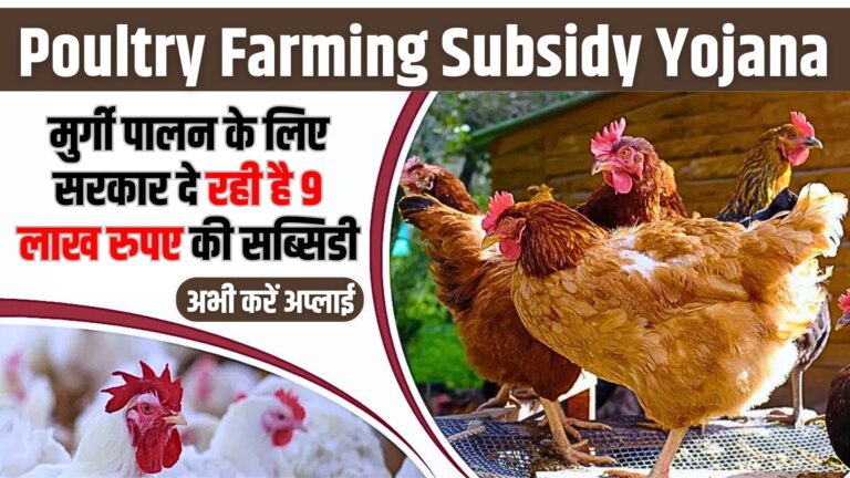 Poultry Farming Subsidy Yojana