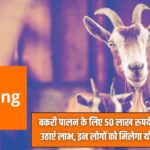 Goat Farming Loan Scheme 2025