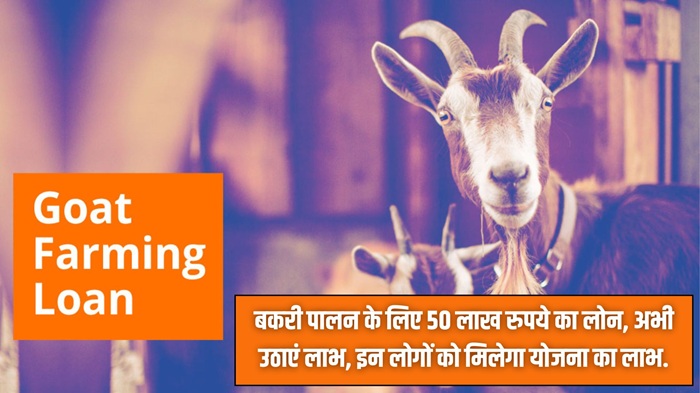Goat Farming Loan Scheme 2025