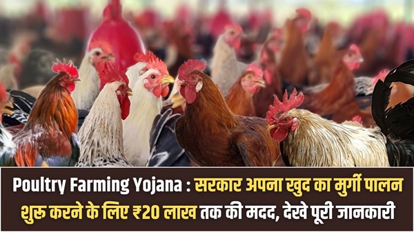Poultry Farming Yojana